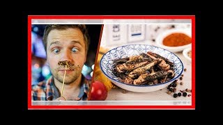 Insekten essen – essbare Insekten