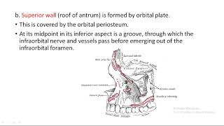 A Class On CaldWell LUC operation By Dr Mohanty,Dept Of ENT