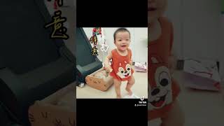 被騷擾的貓#嬰兒#美短貓