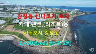 [제주빠빠] 서귀포 강정동 선녀코지 토지 2,400평 600평 275평 ☎010 3318 5088