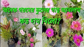 Summer flower plants | গরমের নতুন ফুলের গাছ নিয়ে এলাম | কত দাম নিলো ? |