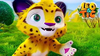 Léo et Tig 🐯 L'invitee Mysterieuse 🦁 NOUVEL Épisode 27 ⭐ Super Toons TV - Dessins Animés en Français