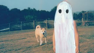 Phoebe Bridgers - Stranger in the Alps (RANKED)