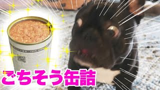 犬用缶詰テラカニス♡手作り食派の非常食にオススメです