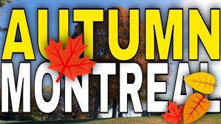 4K  Autumn in Montreal / From the Beaver Lake to the Mount Royal Cross -【4K】