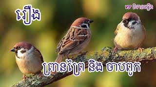 សូមរីករាយស្ដាប់ព្រេងនិទានខ្មែរ​ រឿង​ ព្រានព្រៃនិងសត្វចាបពូក​ បញ្ចូលសម្លេងដោយក្រុមការងារវិទ្យុវាយោfm