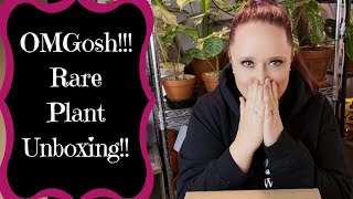 OMGosh!!!  Rare Plant Unboxing!!!