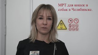 МРТ для домашних животных в Челябинске.