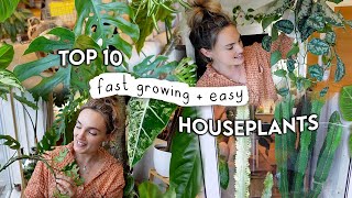 10 Fast Growing EASY Indoor Plants 🌿 Easiest + Fastest Growing Houseplants
