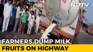 Milk Spilled, Veggies Dumped After Maharashtra Farmers Begin Indefinite Strike