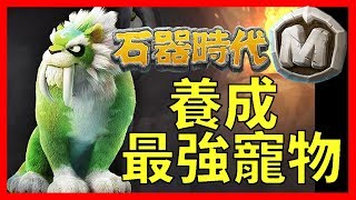 養成最強寵物！由55級開始！｜石器時代M｜心得教學攻略 石器時代：世界