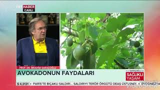 AVOKADONUN MÜTHİŞ FAYDALARI ~ Şifaya vesile Saraçoğlu