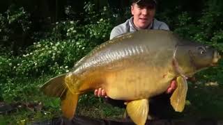 Catching Big Carp At Les Quis Carp Fishery in France - Carp Fishing France