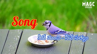 New Telugu  Christian Song:- నీవే మంచి - నీవే సత్యం