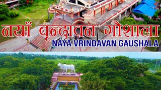 Naya Vrindavan Gaushala || Sundar Haraicha -5 , Morang || Drone Short @tcnepal