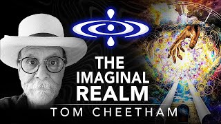 Tom Cheetham - The Imaginal Realm | Elevating Consciousness Podcast #31