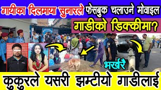 दिलमाया सुनारको मोवाइल गाडीको डिक्कीमा ? तालिमप्राप्त कुकुरले छो'प्यो, Dilmaya Sunar news today.