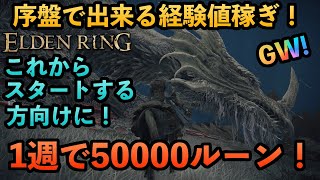 エルデンリング | 序盤で出来る安全な経験値稼ぎ方法！一週で5万ルーン！ [ルーン稼ぎ]