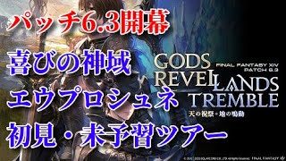 パッチ6.3　喜びの神域エウプロシュネ　初見配信　【FF14】