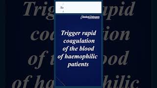 New Study Reveals How Saliva Activates Coagulation in Hemophilia A Patients