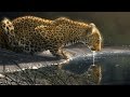 Speed Paint - Photoshop Speed Paint - Photoshop