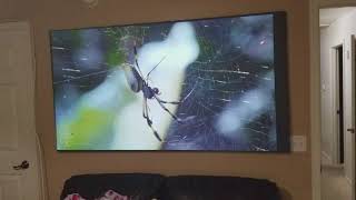 Optoma HD27 dark projector screen eco mode. One of the best projector mid entry. Save $ DIY