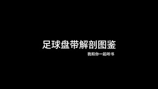 足球盘带解剖图鉴