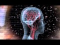 What is biofeedback and neurofeedback? A Mind Media video featuring NeXus