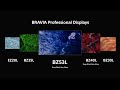2024 BRAVIA 4K HDR Professional Displays Model | BZ-53L Series | Sony Official