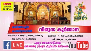 Live From Karingachira Cathedral |  കരിങ്ങാച്ചിറ കത്തീഡ്രലിൽ വിശുദ്ധ കുർബാന തത്സമയം  | January 9