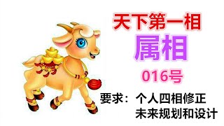 以时辰波动日子的最佳案例，请看016号教学片