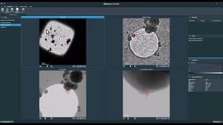 Image Shift Calibrations & AutoFunctions in EPU