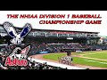 The 2024 NHIAA Division 1 Baseball Championship Game - Exeter vs Pinkerton