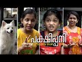 പക്ഷിപ്പനി | The Bird Fever | Comedy Short Film | LLN Media