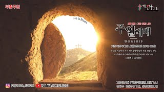 예그리나교회 주일오전예배(2024.03.29) 부활절