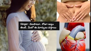 నెల రోజులపాటు అల్లం తింటే ఏమవుతుంది? | What Will Happen When You Eat Ginger