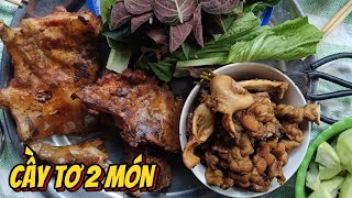 Cầy Tơ 2 Món Ướp Gia Vị Nướng Và Xào Lăn - Cầy Tơ Hương Vị Cực Đỉnh Miền Tây #Trung Tình TV