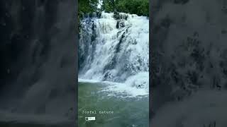 “A waterfall is a miracle of nature.” #shorts #trending #nature