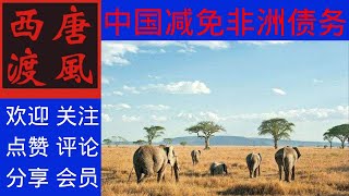 【唐风时评】1196：王毅宣布免除非洲17国23笔欠款，网民痛骂。