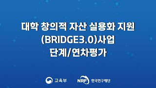 대학 창의적 자산 실용화 지원(BRIDGE3.0)사업 단계/연차 평가 [질의 응답]