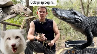 Cold prep begins \u0026 sanctuary vlog!