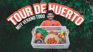 👩‍🌾 TOUR DE HUERTO, lo que salió bien, muy bien y lo que no tanto en la COSECHA DE VERANO