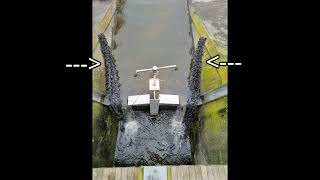 Eel passage - instant success!