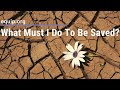 What Must I Do To Be Saved?