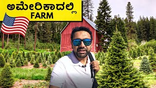 ಅಮೇರಿಕಾದಲ್ಲಿ FARM | Village Life | Kannada Vlogs | America America