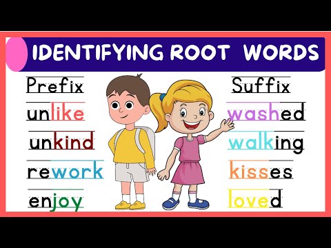 What is the root word for education?