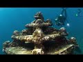 divers scouring the pacific discovered a wreck containing billions of dollars’ worth of treasure