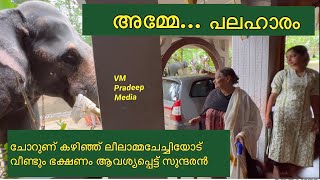 അമ്മേ പലഹാരം വേണം പാമ്പാടി സുന്ദരൻ കണ്ണ്നിറഞ്ഞ് ലീലാമ്മചേച്ചി@VMPRADEEP#pampadysundaran#elephant