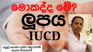 ලූපය....ලූප් එක... අන්තර් ගර්භාෂිත තැන්පතුව...IUCD..