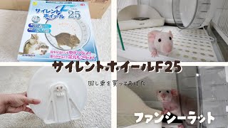 【ファンシーラット】回し車を買ってあげた⌇乗るかな？サイレントホイールフラット２５🎡🐁